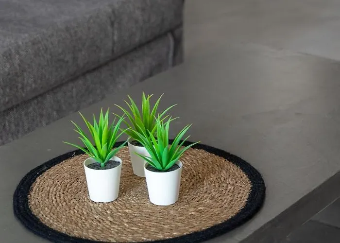 Imer * إيميروفيغلي